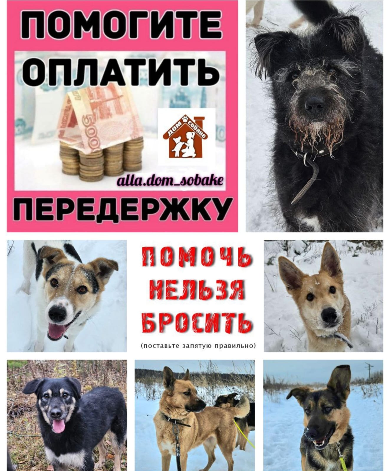 Размещу вашу рекламу на своем автомобиле